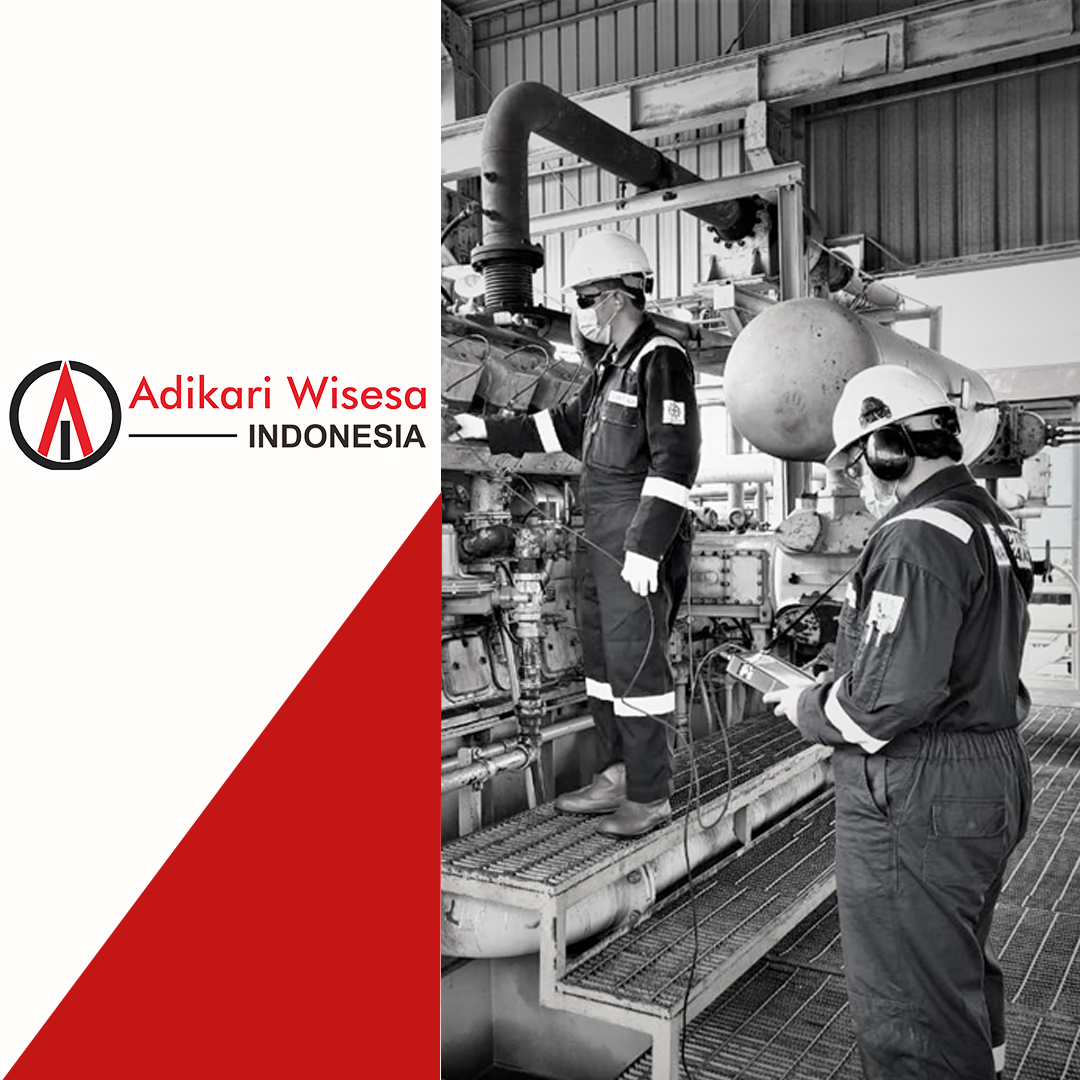 WEBINAR MAINTENANCE SERIES “ADVANCED VIBRATION ANALYSIS”